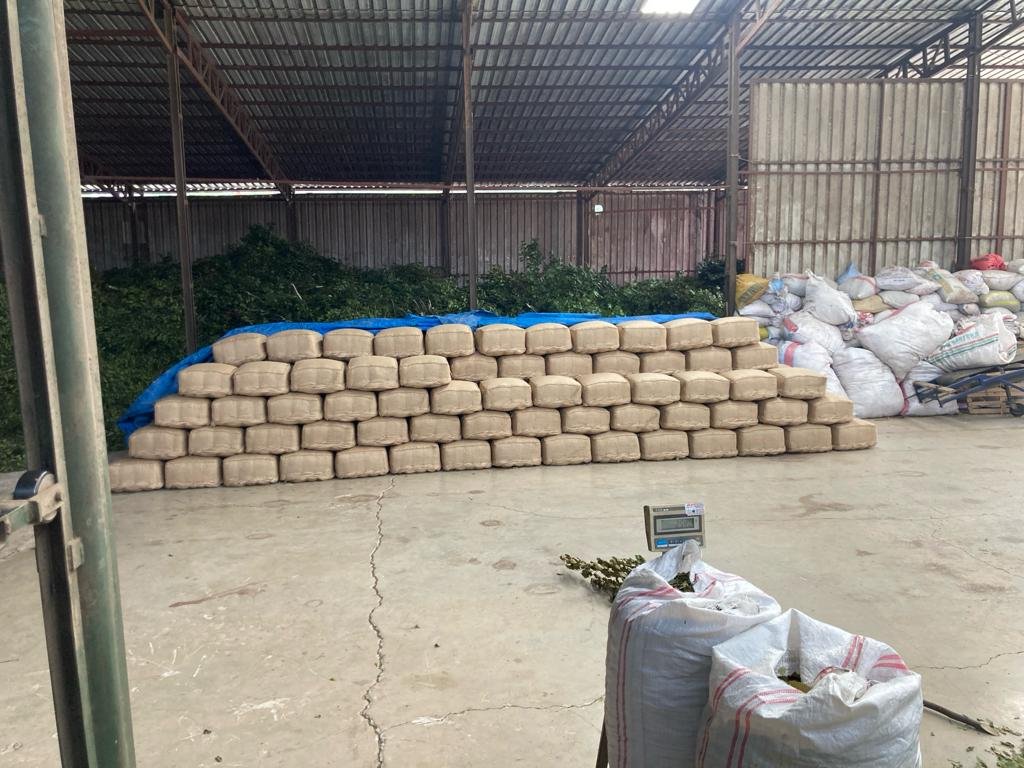 WhatsApp Image 2024-04-19 at 11.47.13 AM