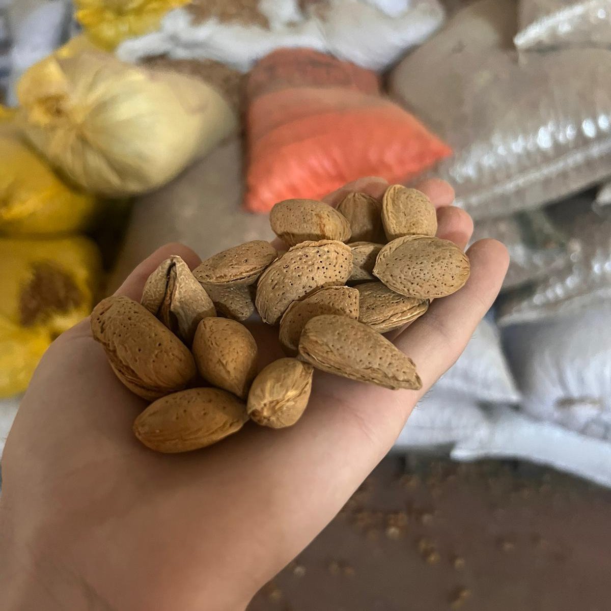 WhatsApp Image 2024-04-19 at 11.49.14 AM