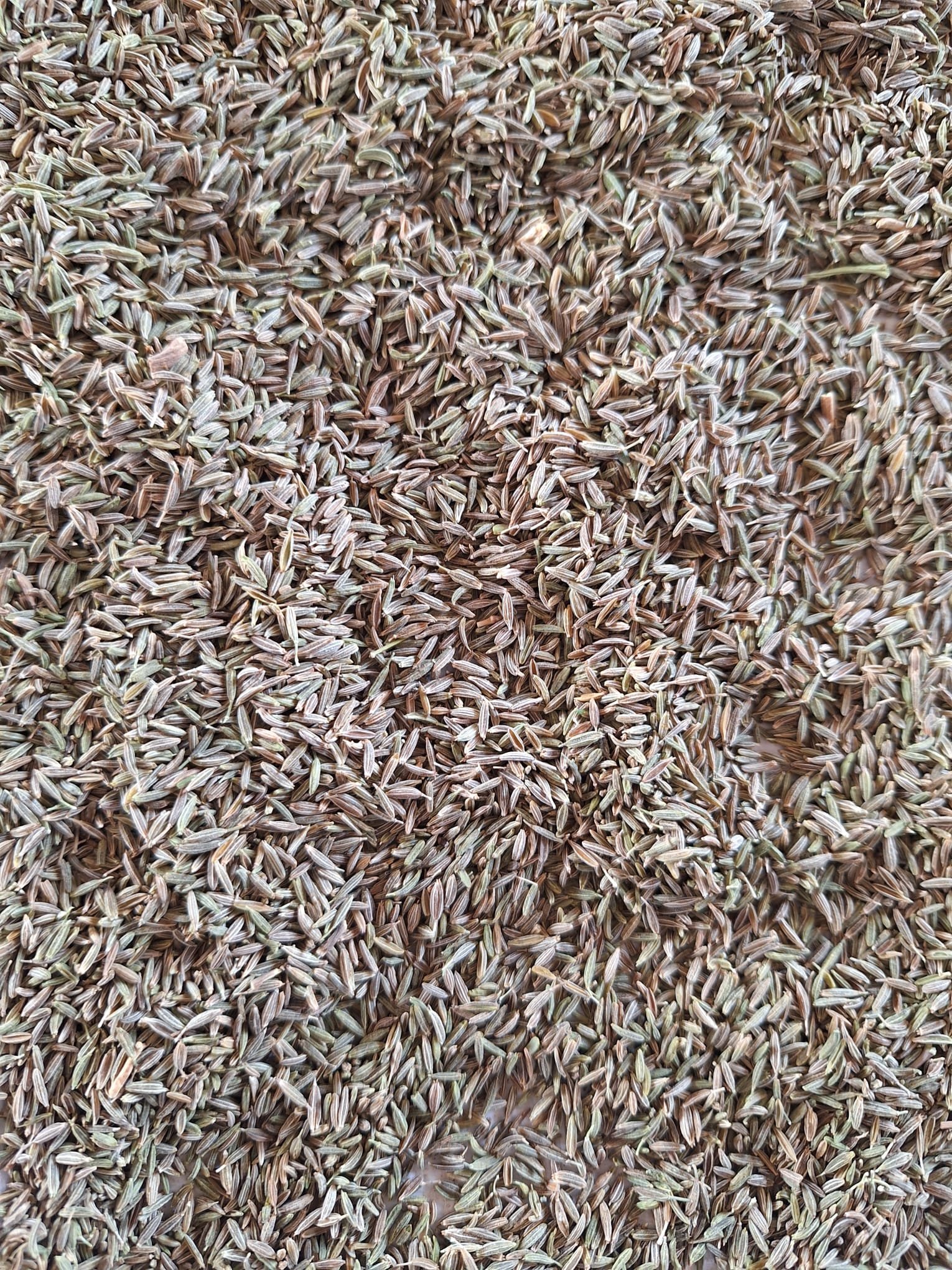 WhatsApp Image 2024-09-04 at 3.01.15 PM