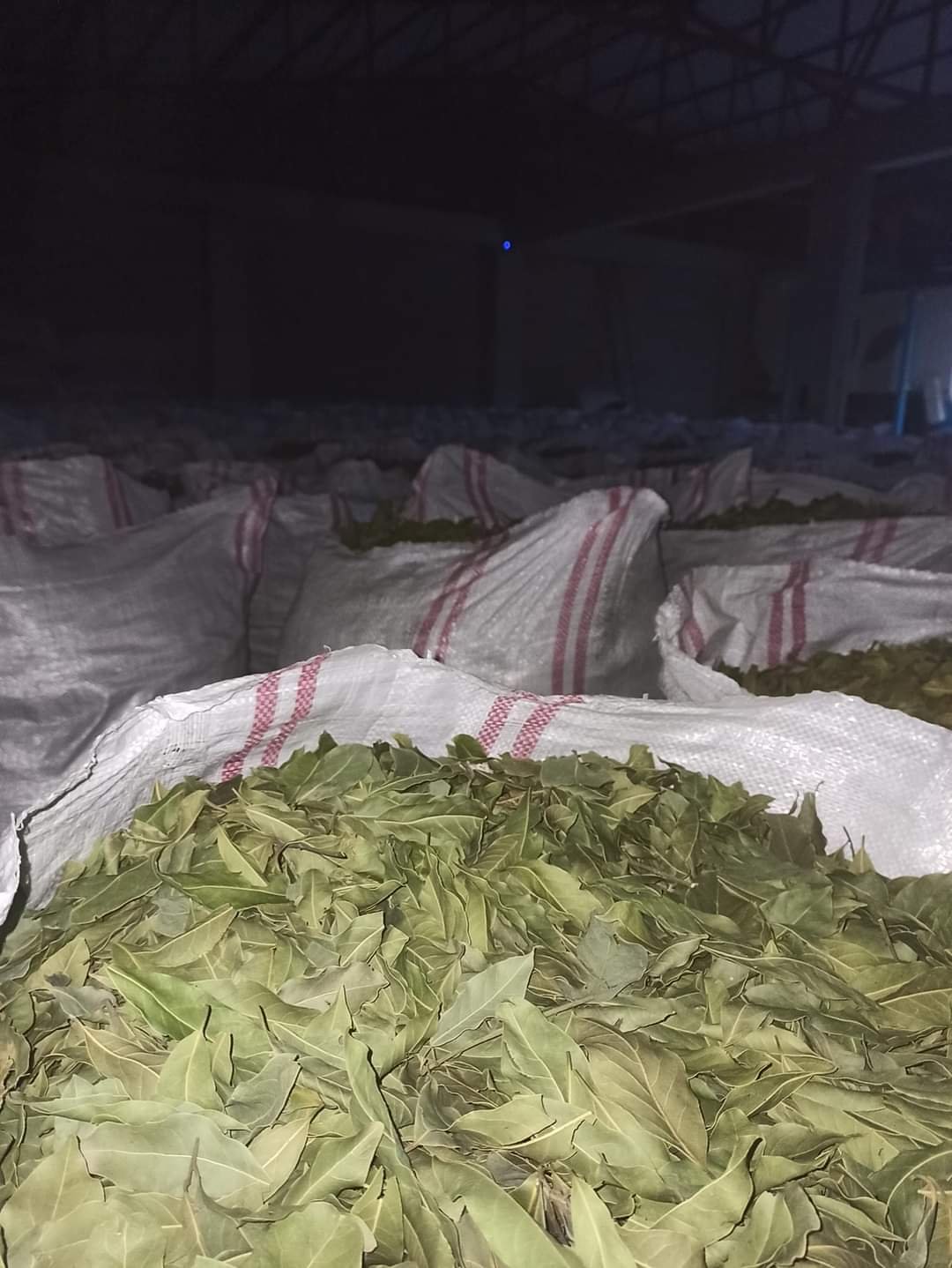 WhatsApp Image 2024-09-04 at 3.04.32 PM